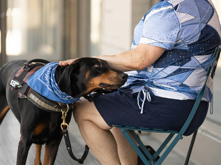 Hund auf Tisch